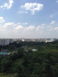 Mi Casa (D23), Condominium #112753852